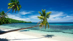 Fidschi Strand Palmen Foto iStock joebelanger